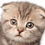 Martin_S